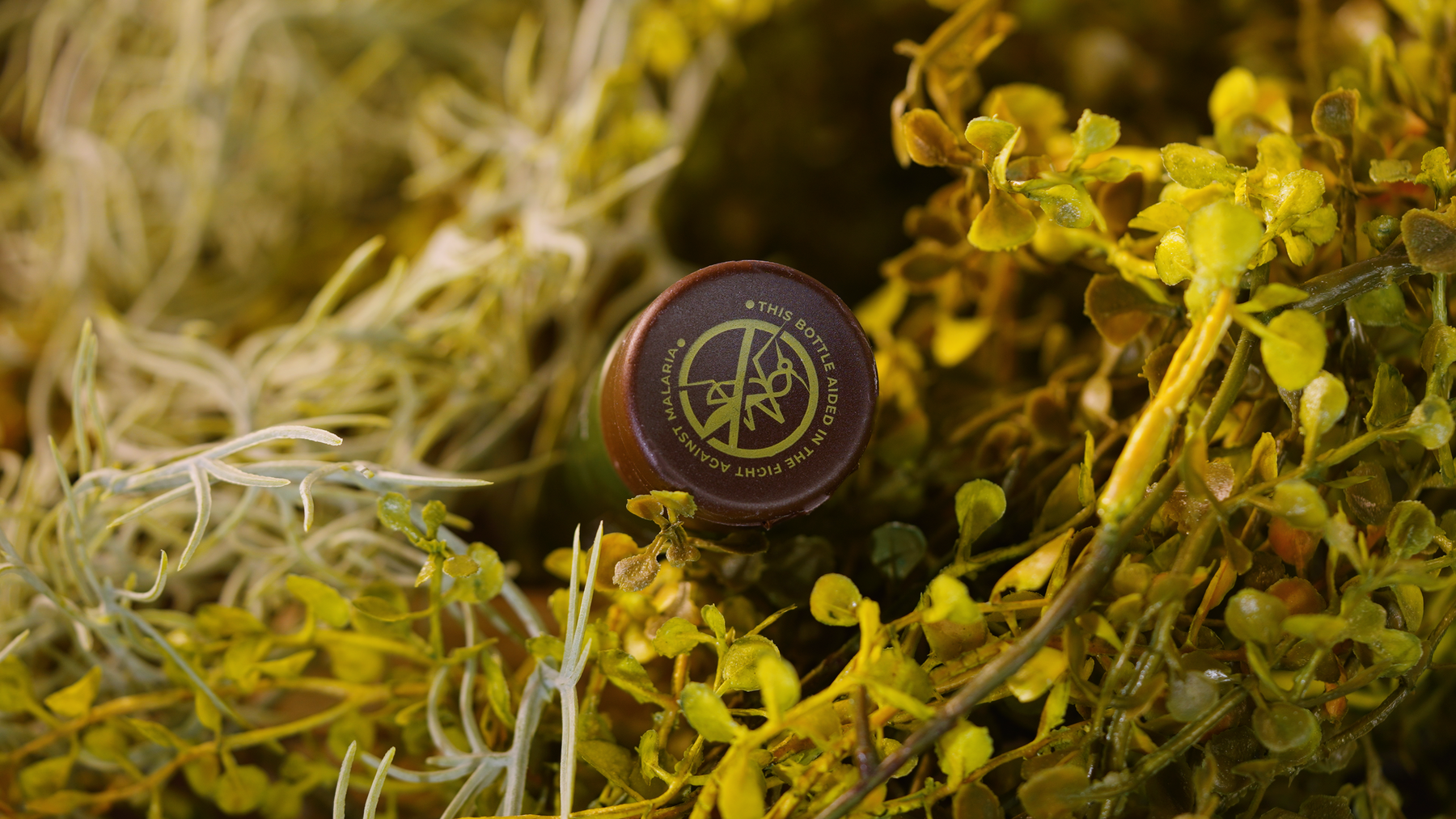 HUNT - Scent-Free, DEET-Free Insect Repellent Lotion - Sportsman Gear