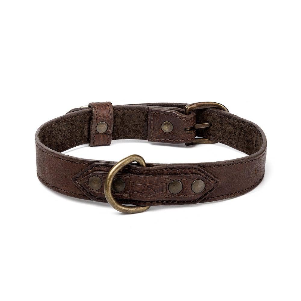 Campaign Leather Dog Collar - Sportsman Gear