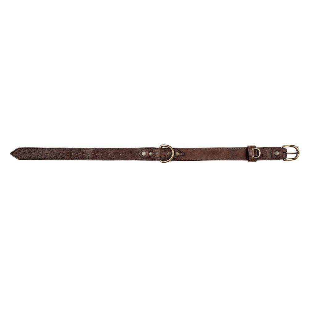 Campaign Leather Dog Collar - Sportsman Gear