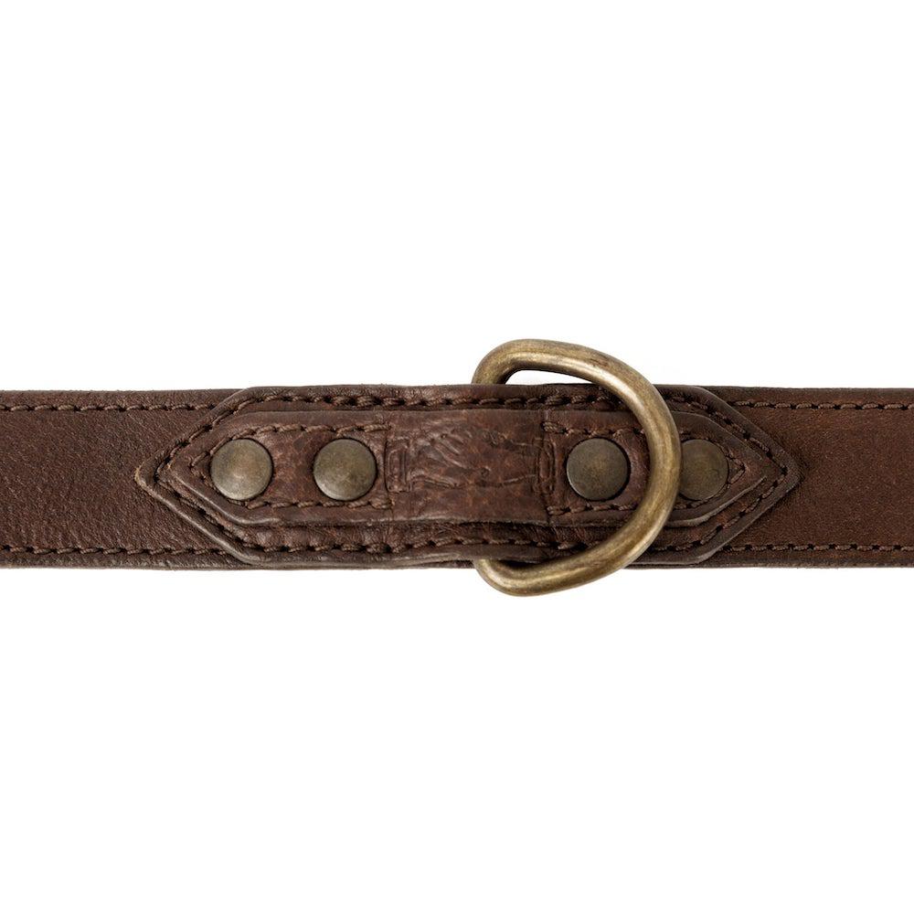 Campaign Leather Dog Collar - Sportsman Gear