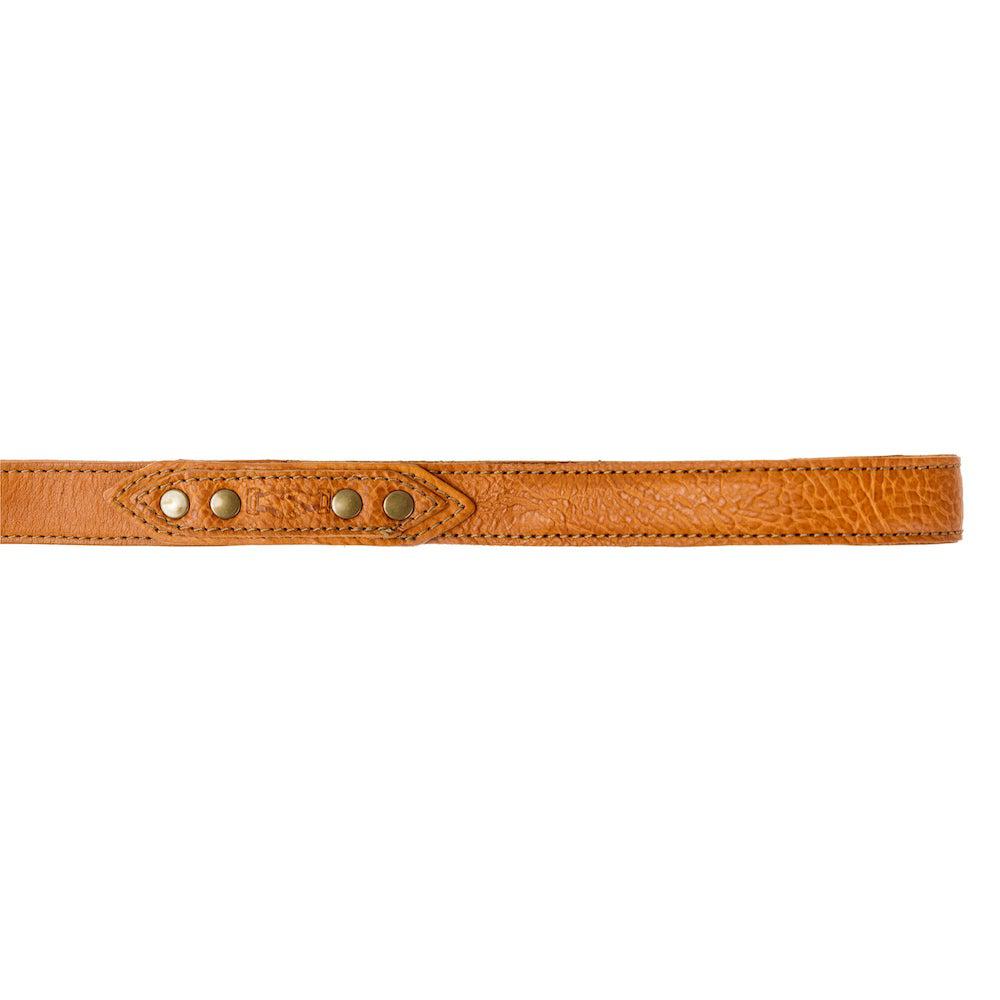 Campaign Leather Dog Leash - Sportsman Gear