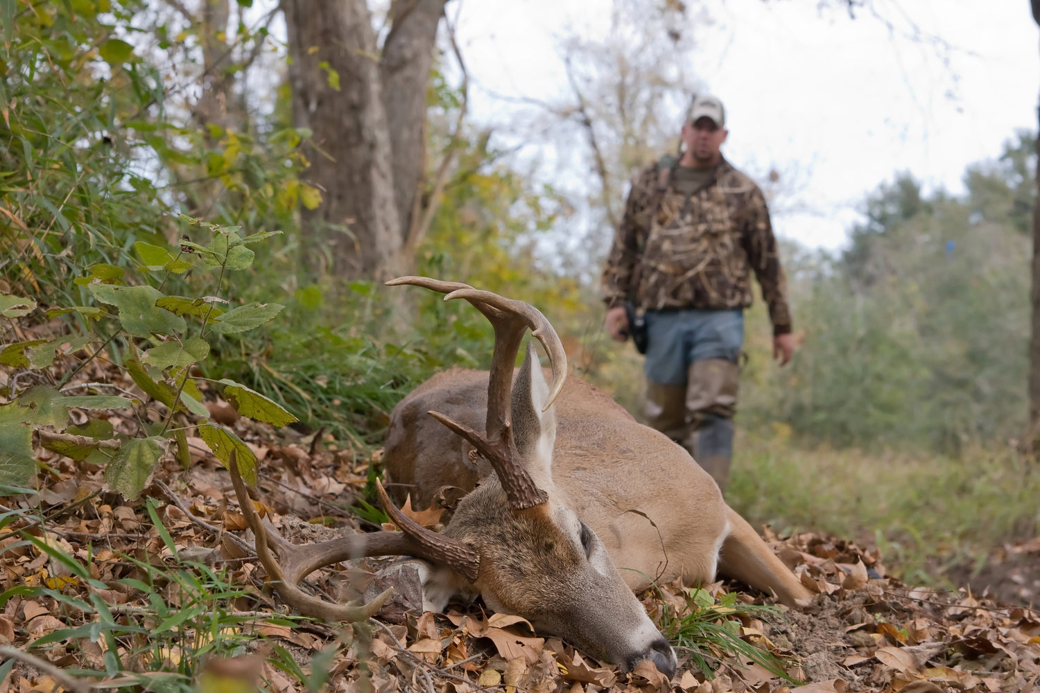 Mid-Season Mastery Deer Hunting - Sportsman Gear