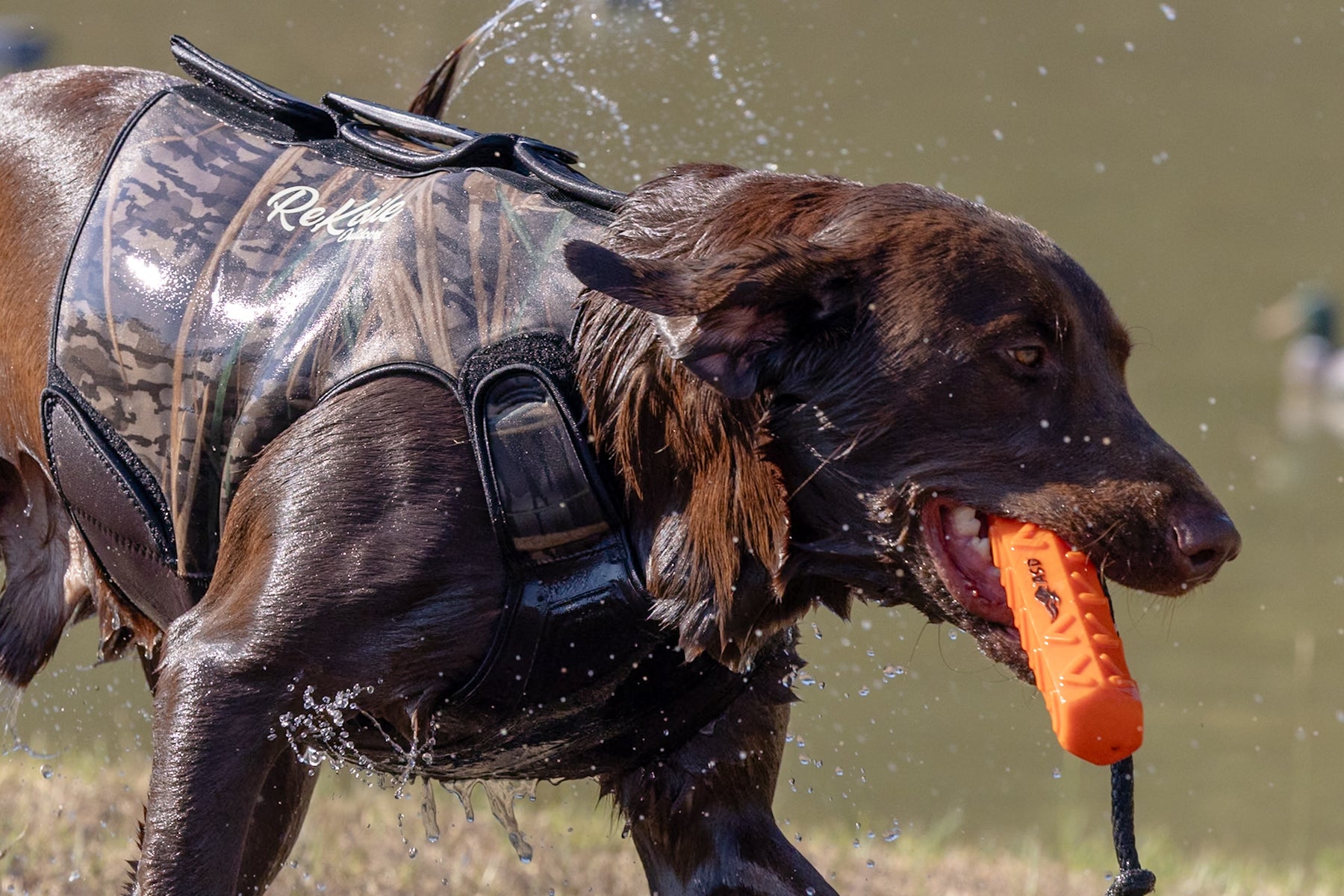 2.0 Sure Fit Waterfowl Dog Vest - Sportsman Gear