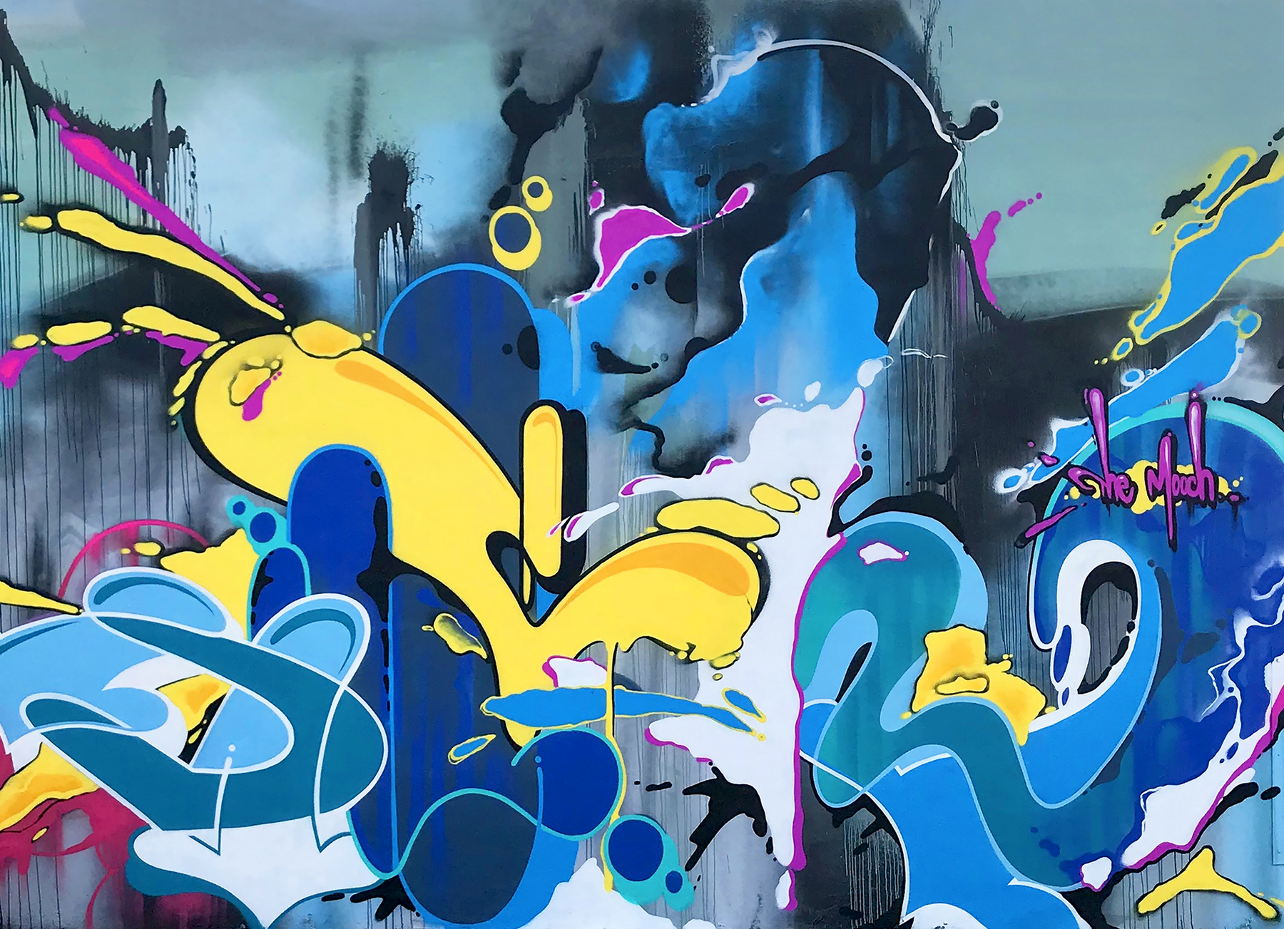 Big Kid's NYC Graffiti - Limited Edition Patterns - 2.0 by CROSSKIX - Sportsman Gear