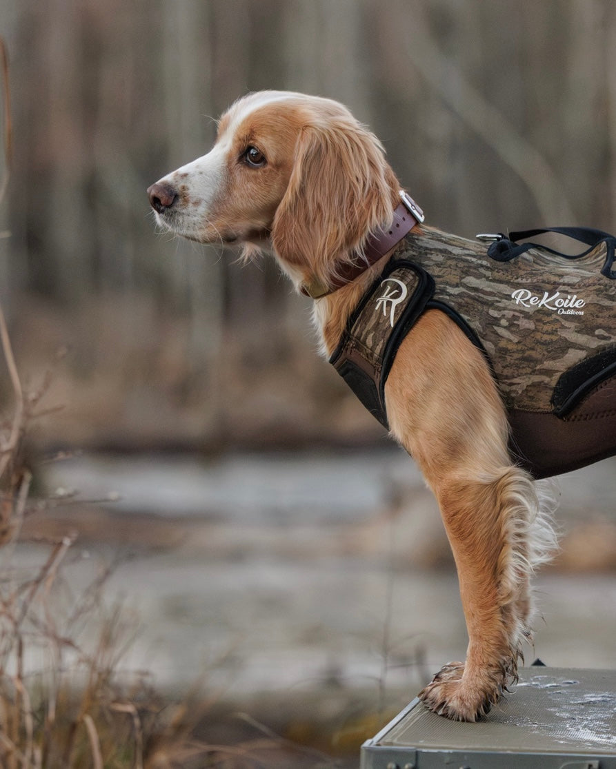 2.0 Sure Fit Waterfowl Dog Vest (Mossy Oak Bottomland) - Sportsman Gear
