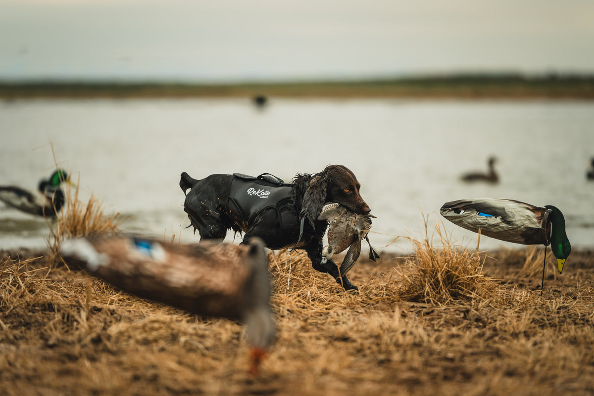 2.0 Sure Fit Waterfowl Dog Vest (Cypress) - Sportsman Gear