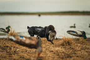 2.0 Sure Fit Waterfowl Dog Vest (Cypress) - Sportsman Gear