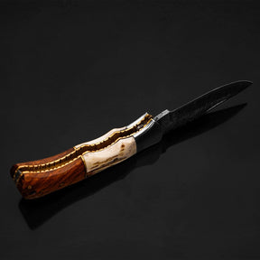 Echo Damascus Pocket Knife with Stag Horn/Antler & Rosewood Handle