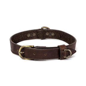 Campaign Leather Dog Collar - Sportsman Gear