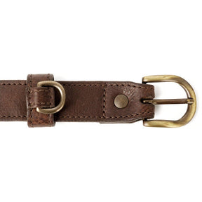 Campaign Leather Dog Collar - Sportsman Gear