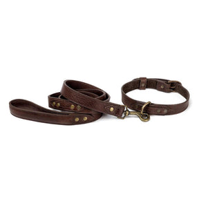 Campaign Leather Dog Leash - Sportsman Gear