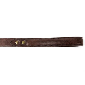 Campaign Leather Dog Leash - Sportsman Gear