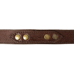 Campaign Leather Dog Leash - Sportsman Gear