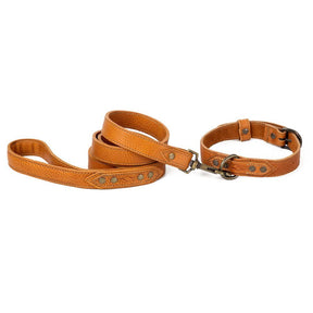 Campaign Leather Dog Leash - Sportsman Gear